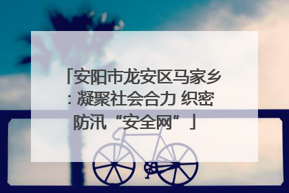 安阳市龙安区马家乡：凝聚社会合力 织密防汛“安全网”